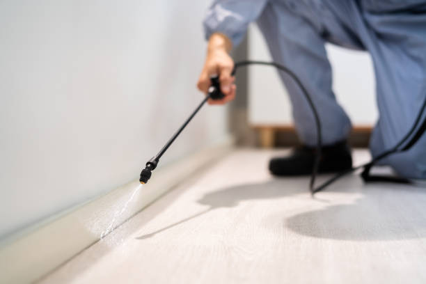 Licensed Rodent Control service in Jones County County, MS - Nex Pest Control